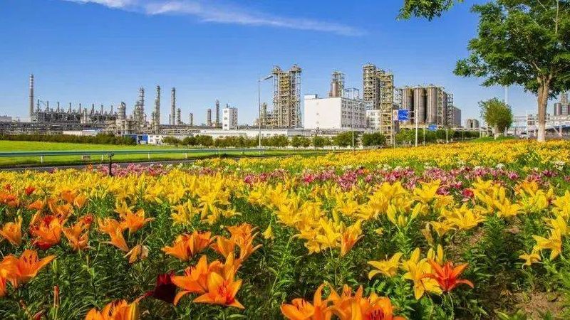 消泡剂与抑泡剂：在化工生产中的“双面角色